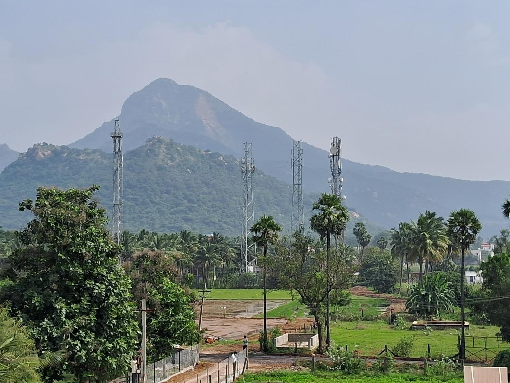 Homestay Gold Mountain